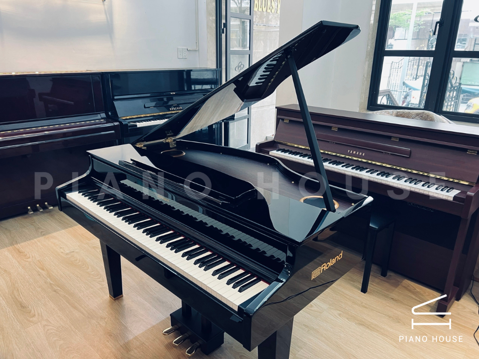 C H NG ROLAND GP 607 M u en B ng Like New 99 Sale 10